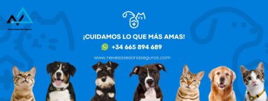 Varias mascotas, incluyendo perros y gatos, sobre un fondo azul con elementos gráficos.